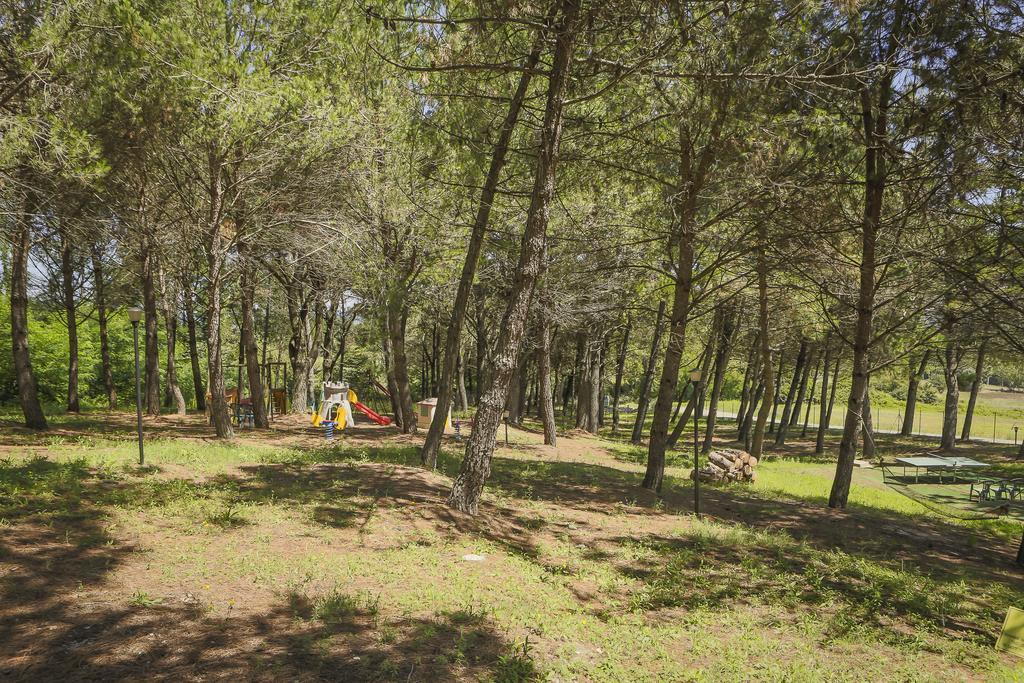 La Sorgente Holiday home